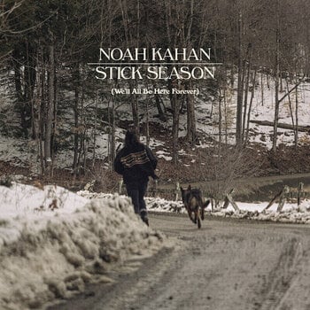 Vinylplade Noah Kahan - Stick Season (Black Ice Coloured) (We'll All Be Here Forever) (3 LP) - 1
