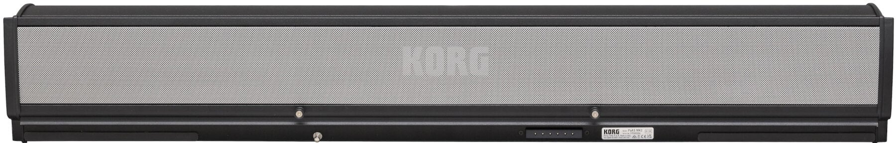 Amplfication pour clavier Korg PaAS MK2