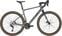 Gravel / Cyclocross-cykel Bergamont Grandurance Expert Shimano GRX RD-RX400 2x10 Shiny Rainbow Silver 50 Shimano 2024