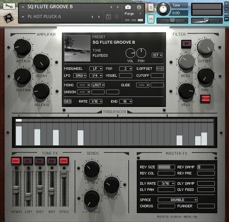 Logiciel de studio Instruments virtuels Rigid Audio Tropical Breeze (Produit numérique)