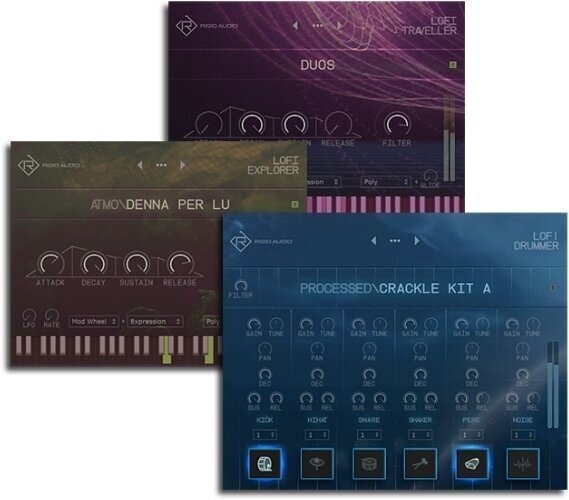 Logiciel de studio Instruments virtuels Rigid Audio Lofi Explorer Bundle (Produit numérique)