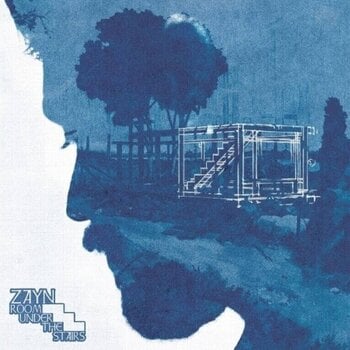 Δίσκος LP Zayn - Room Under The Stairs (Forest Green Coloured) (2 LP) - 1