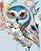 Pintura diamante Zuty Rainbow Owl