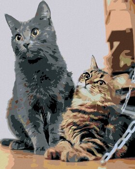 Diamantové maľovanie Zuty Čakajúce mačky - 1