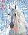 Diamantové maľovanie Zuty Biely kôň