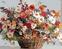 Diamantmalerei Zuty Wiesenblumen im Korb