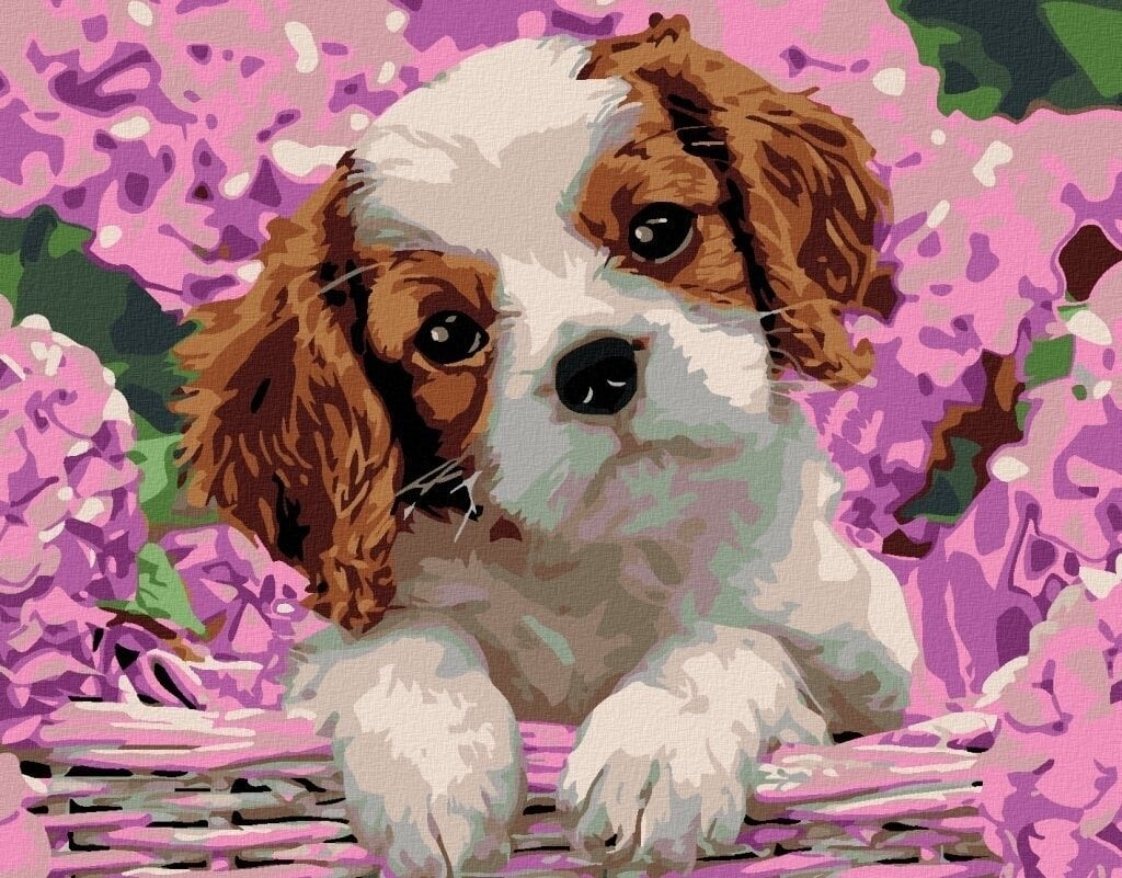 Diamantmålning Zuty Puppy And Hydrangea