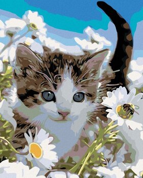 Diamond Art Zuty Kitten in Margaret - 1