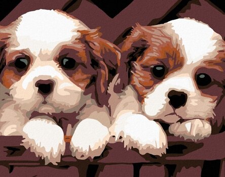 Diamant schilderij Zuty Witte en bruine puppy's - 1