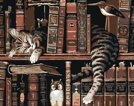 Diamantna slika Zuty Mačka v knjižnici - 1