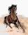 Diamant schilderij Zuty Bruin Paard In Zand