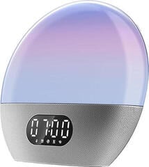 HiFi-Network-Player Wiim Wake up Light HiFi-Network-Player