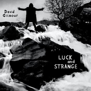 CD диск David Gilmour - Luck and Strange (CD) - 1