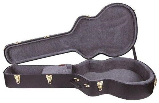 Bassguitar Case Epiphone Case Epi Acoustic Bass