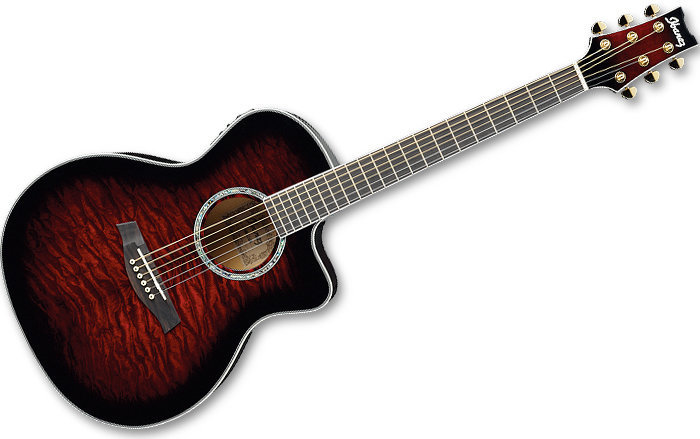 Elektro-akoestische gitaar Ibanez A 300E TCS