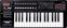 MIDI-Keyboard Roland A-300PRO