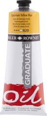 Cor de óleo Daler Rowney Graduate Tinta a óleo Cadmium Yellow Hue 200 ml 1 un.