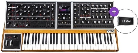 Synthesizer MOOG One - 16 SET - 1