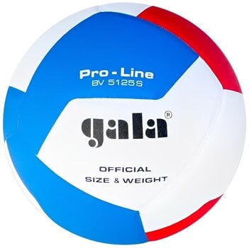 Volleyboll inomhus Gala Pro Line 12 Volleyboll inomhus - 1