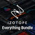 Studio software plug-in effect iZotope Everything Bundle: UPG from any previous RX ADV (Digitaal product)