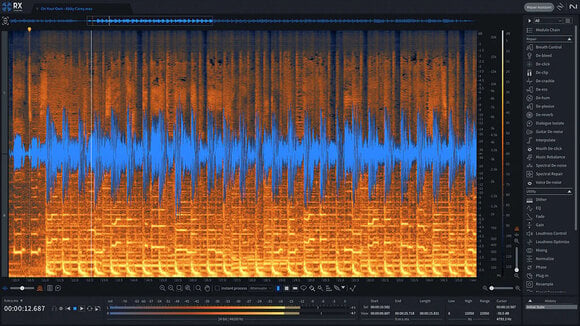 Logiciel de studio Plugins d'effets iZotope RX 11 Standard: CRG from any paid iZotope product (Produit numérique) - 1