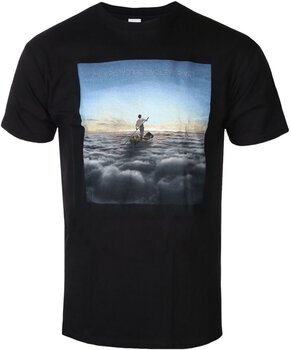 T-Shirt Pink Floyd T-Shirt Endless River Black M - 1