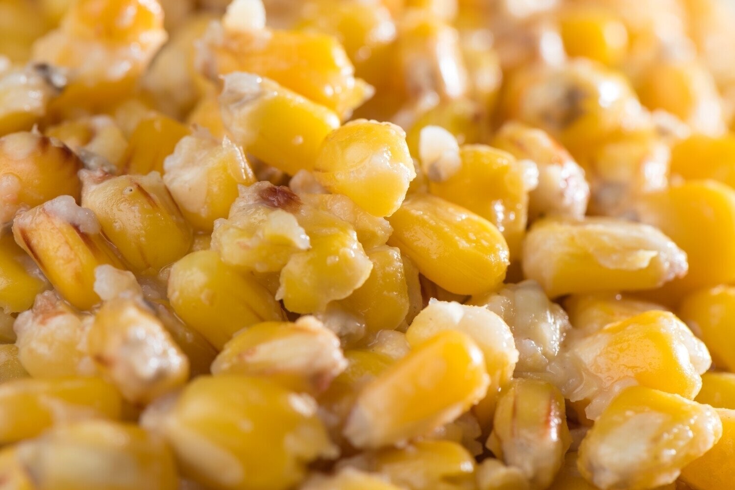 Particle Mivardi Particle 1 kg Corn