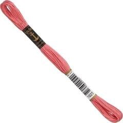 Embroidery Yarn Anchor Stranded Cotton 01023 8 m Embroidery Yarn