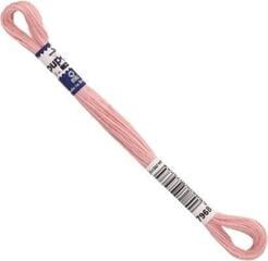 Пряжа для вишивання Anchor Puppets Muline 07968 12 x 8 m Пряжа для вишивання