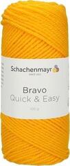 Pređa za pletenje Schachenmayr Bravo Quick & Easy 08210 Pređa za pletenje