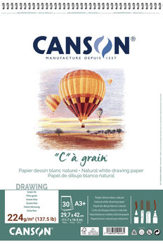 Sketchbook Canson Sp Càgrain A3 224 g White Sketchbook - 1