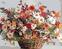 Peinture par numéros Zuty Peinture par numéros Fleurs des champs dans un panier