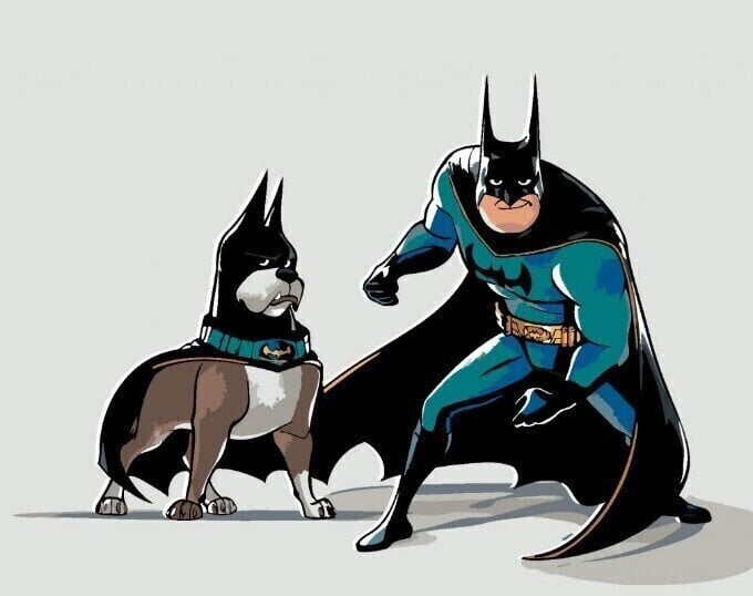 Pintura por números Zuty Pintura por números Batman'S Best Friend (DC League Of Super-Pets)