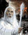 Pintura por números Zuty Pintura por números Gandalf Portrait (Lord Of The Rings)