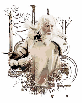 Pintura por números Zuty Pintura por números Painted Gandalf (Lord Of The Rings) - 1