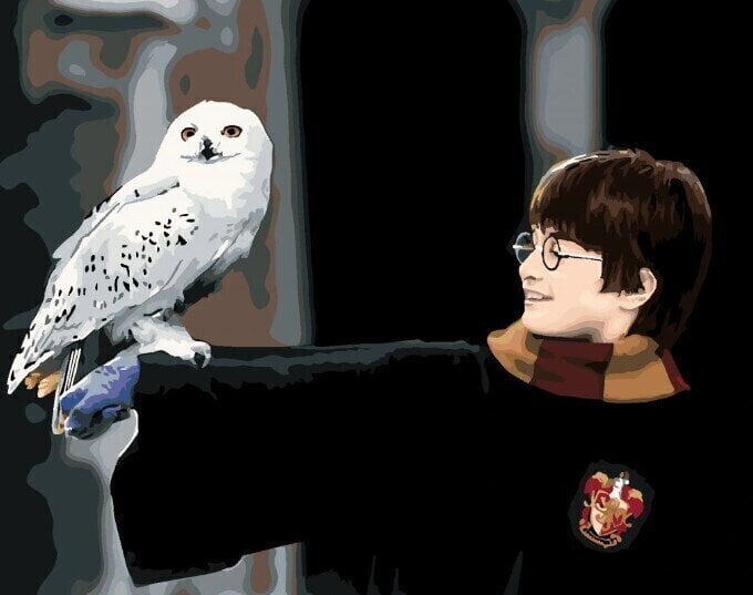 Schilderen op nummer Zuty Schilderen op nummer Harry Potter met Hedwig