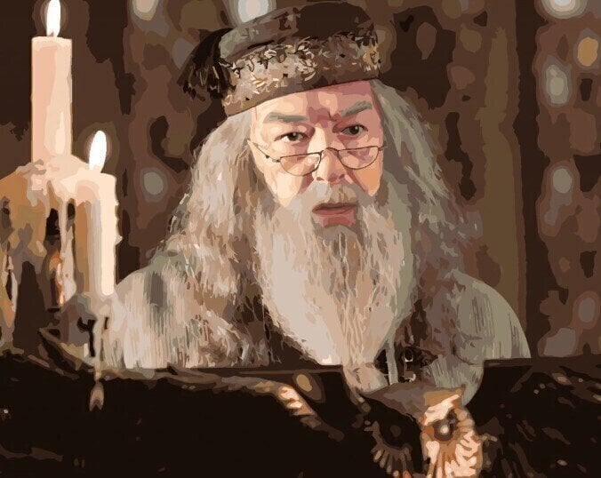 Picturi pe numere Zuty Picturi pe numere Dumbledore la pupitrul bufniței (Harry Potter)