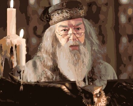 Picturi pe numere Zuty Picturi pe numere Dumbledore la pupitrul bufniței (Harry Potter) - 1