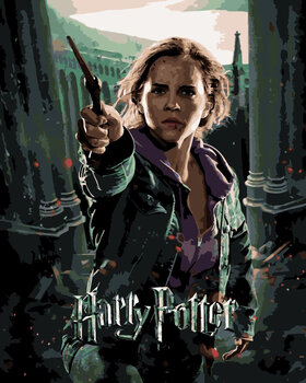 Painting by Numbers Zuty Painting by Numbers Harry Potter And The Relic Of Death Poster – Hermione - 1