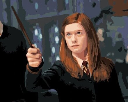 Malování podle čísel Zuty Malování podle čísel Ginny s hůlkou (Harry Potter) - 1