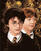 Slikanje po številkah Zuty Slikanje po številkah Božič Harryja Potterja in Rona Weasleyja
