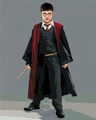 Malowanie po numerach Zuty Malowanie po numerach Harry Potter w habicie z różdżką