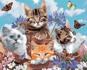 Schilderen op nummer Zuty Schilderen op nummer Katten in potten en strikjes (Howard Robinson)
