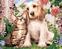 Malování podle čísel Zuty Malování podle čísel Pes a kočka mezi květinami (Howard Robinson)