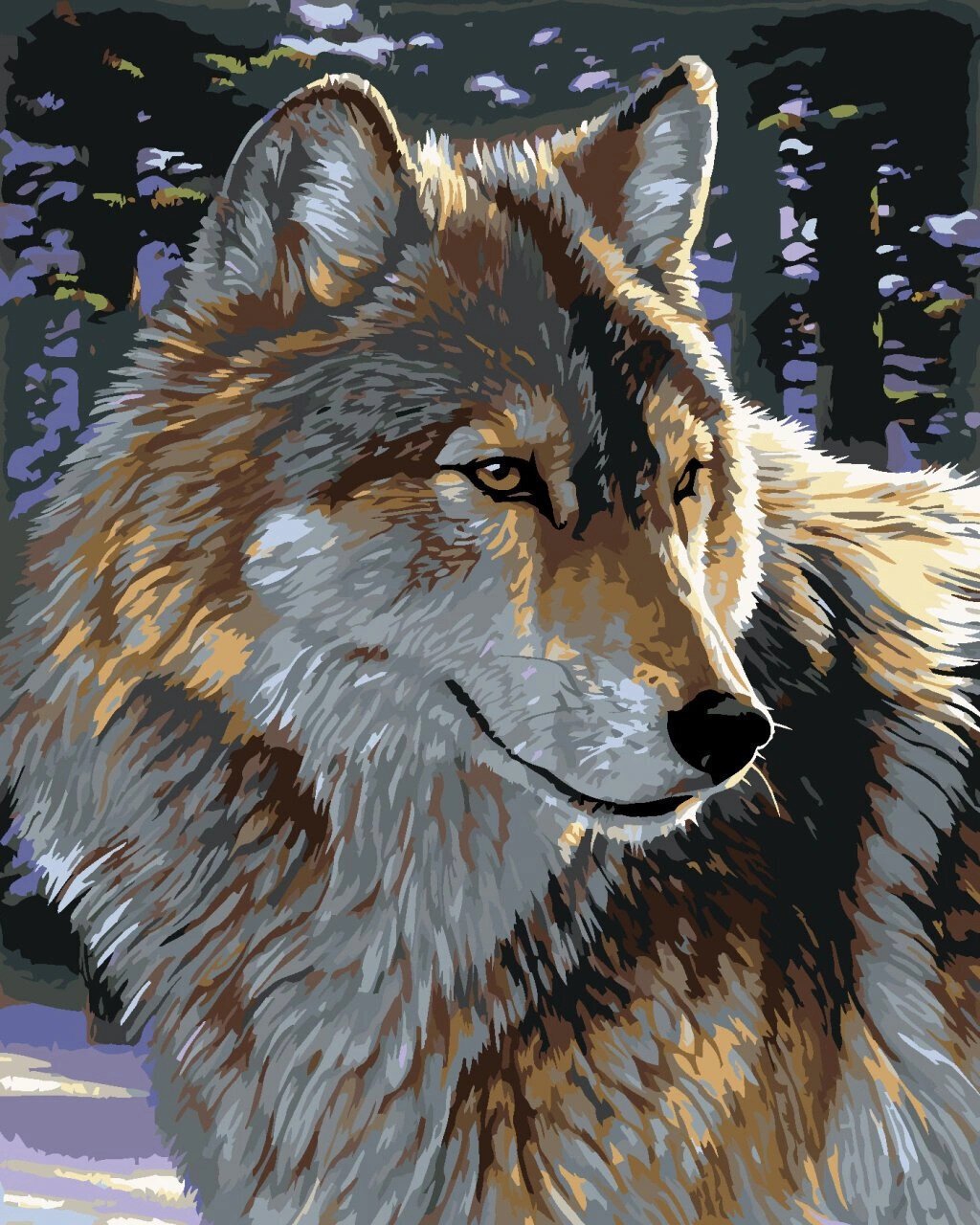 Malování podle čísel Zuty Malování podle čísel Portrét vlka (Al Agnew)