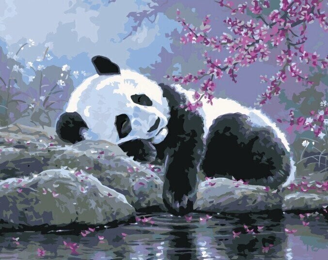 Dipingere con i numeri Zuty Dipingere con i numeri Un panda addormentato e un albero in fiore (Abraham Hunter)