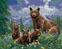 Picturi pe numere Zuty Picturi pe numere Urs cu pui (Abraham Hunter)