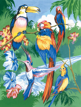 Ζωγραφική με Αριθμούς Royal & Langnickel Ζωγραφική σύμφωνα με αριθμούς Tropical Birds - 1