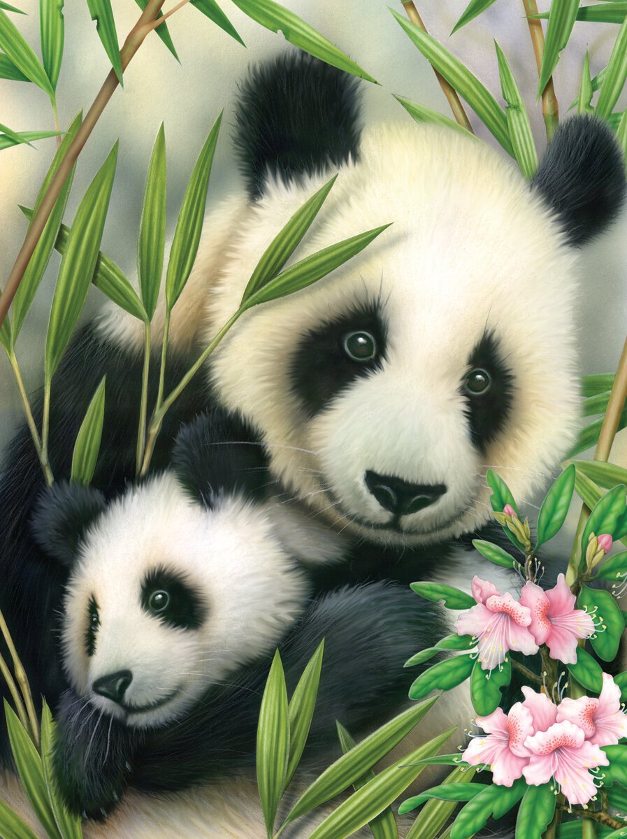 Peinture par numéros Royal & Langnickel Peinture par numéros Pandas