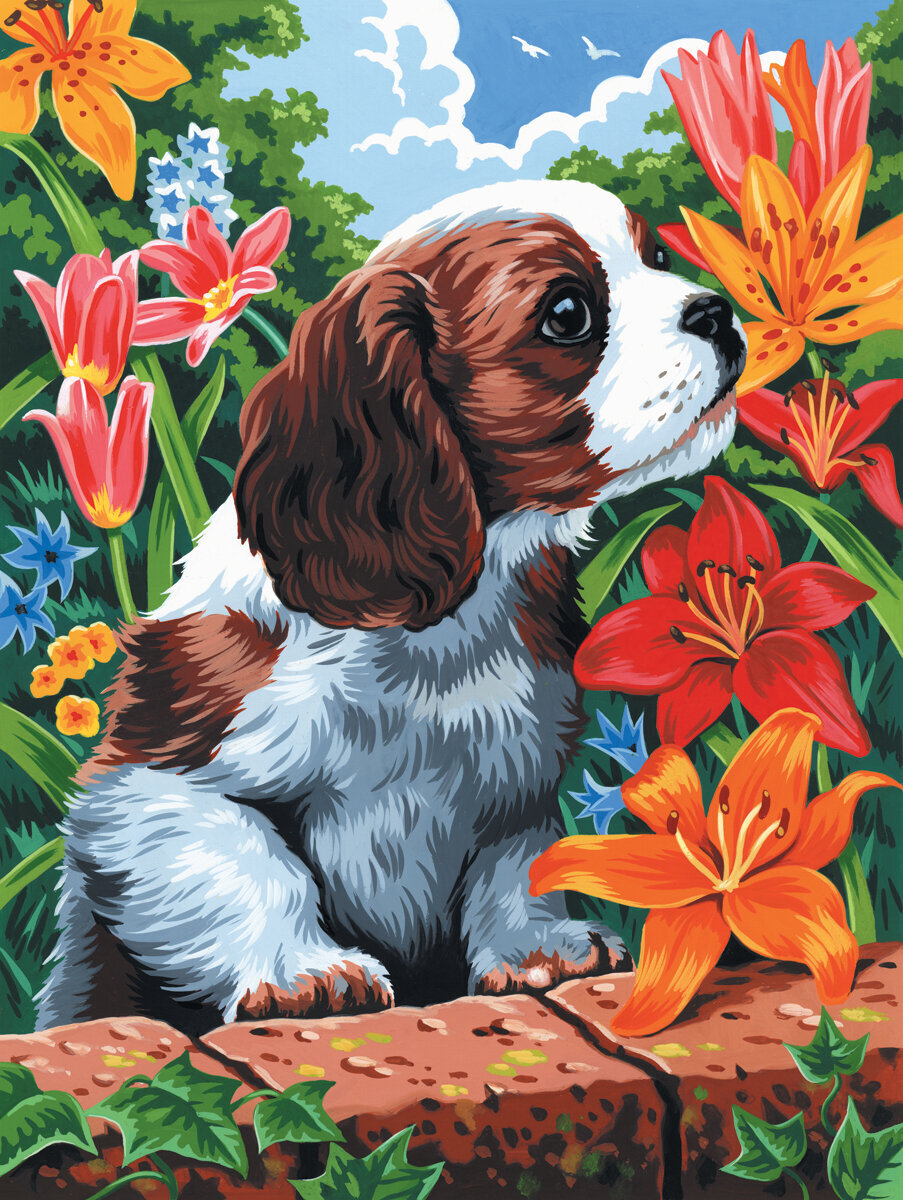 Ζωγραφική με Αριθμούς Royal & Langnickel Ζωγραφική σύμφωνα με αριθμούς Puppy